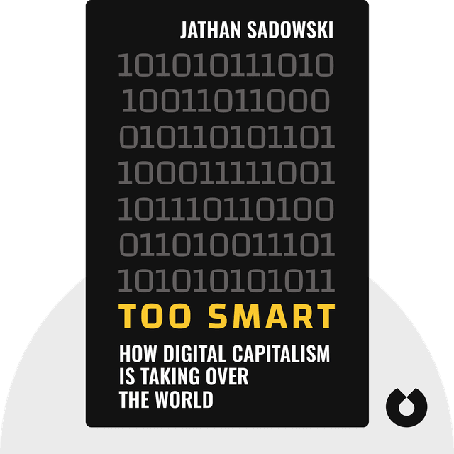 Too Smart audiobook cover - How Digital Capitalism Is Taking Over the World