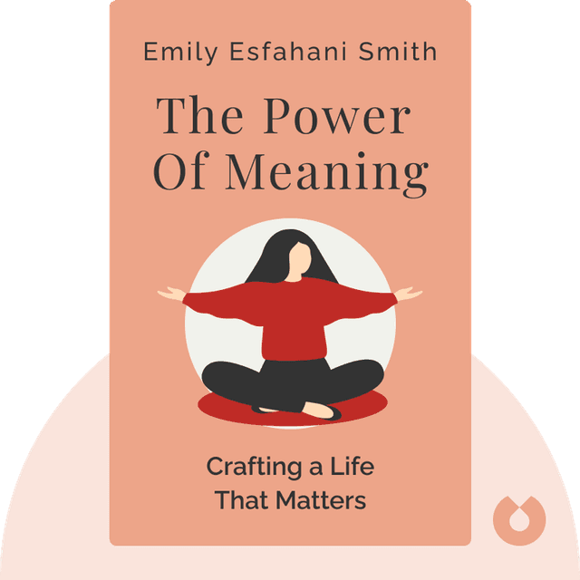 The Power Of Meaning audiobook cover - Crafting a Life That Matters