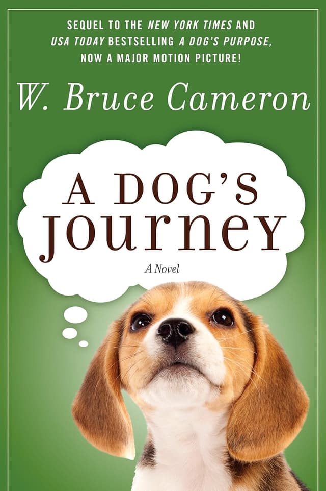 A Dog’s Journey audiobook cover - An aging dog who has lived many lives believes his purpose is finished—until a toddler named Clarity stumbles toward danger, pulling him into one last mission that will demand rebirth, sacrifice, and a lifetime of devotion to keep one girl alive long enough to find her way home.