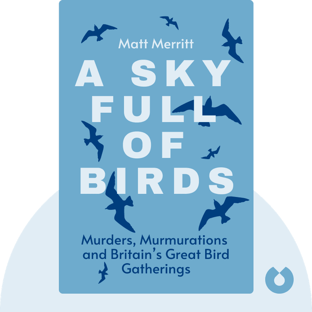 A Sky Full of Birds cover