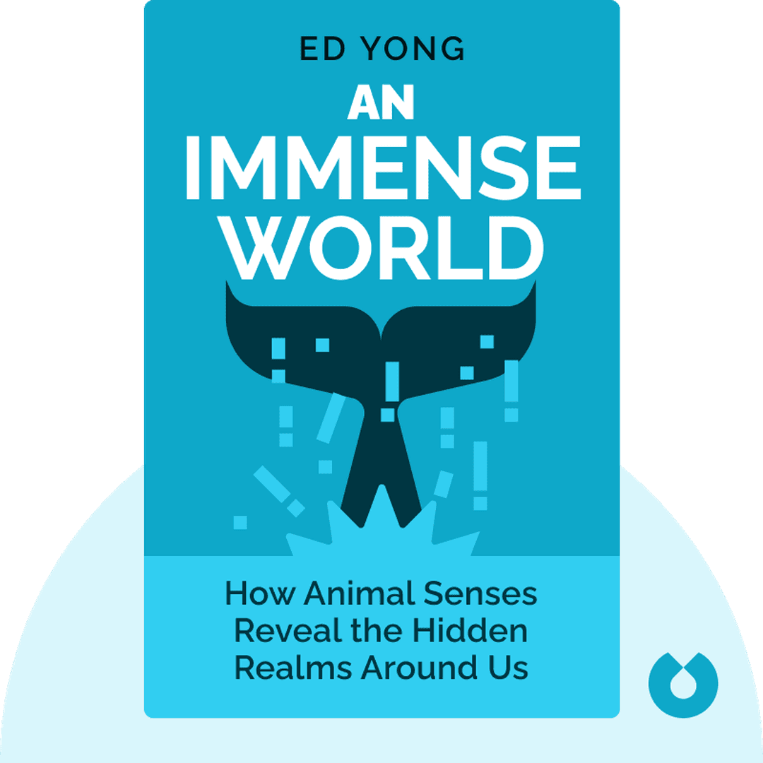 An Immense World cover