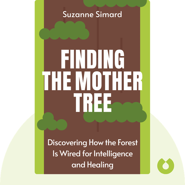 Finding the Mother Tree audiobook cover - Discovering How the Forest Is Wired for Intelligence and Healing