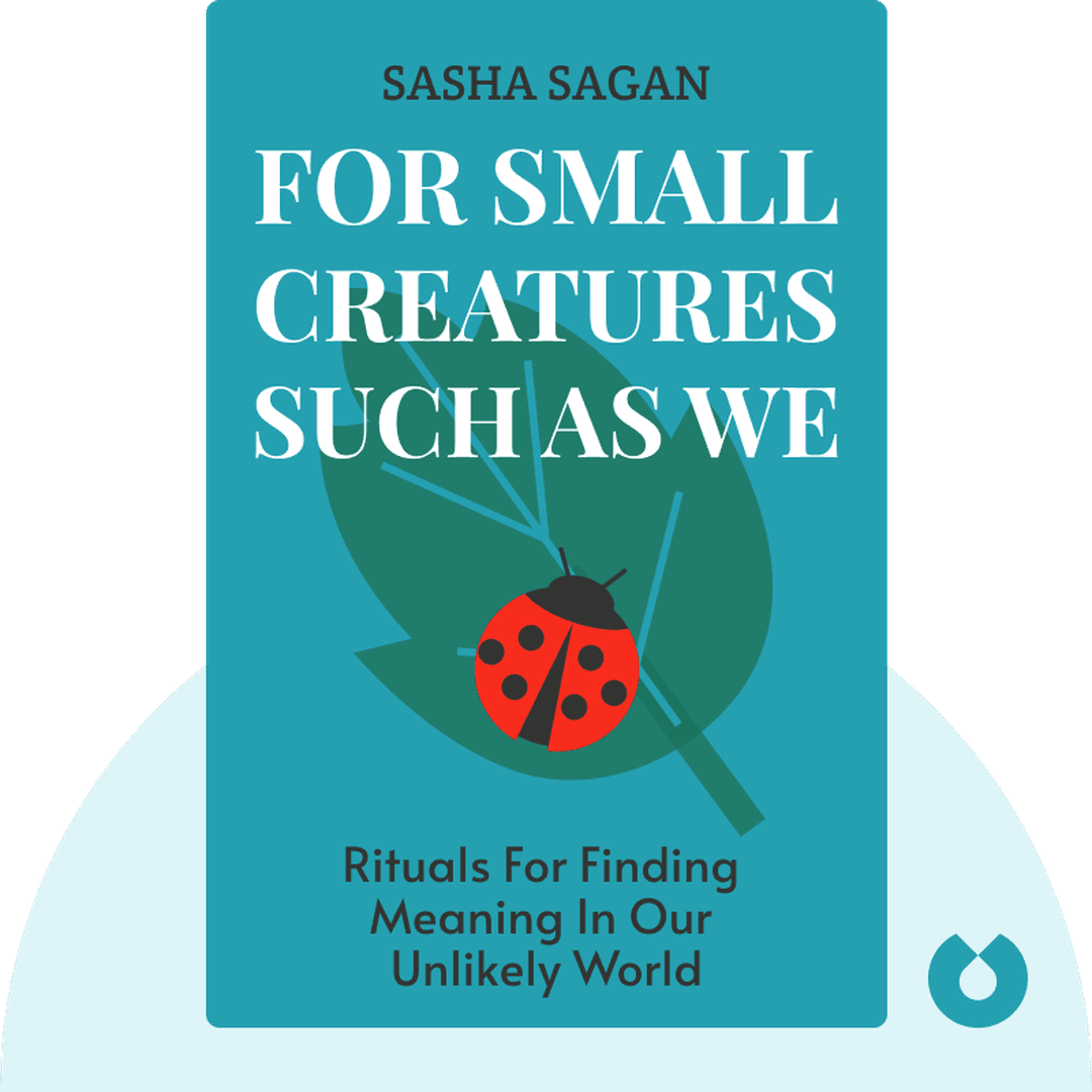 For Small Creatures Such as We cover