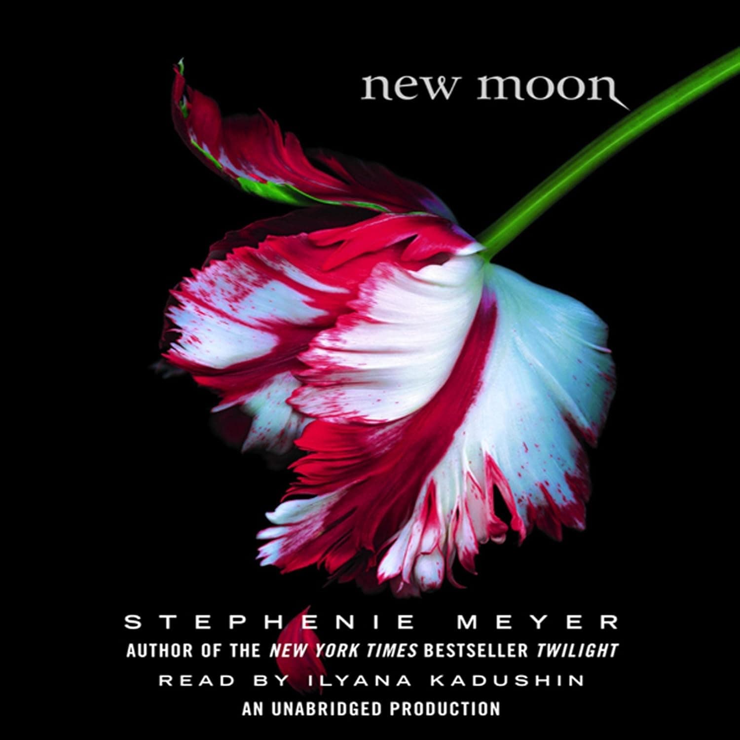 New Moon cover