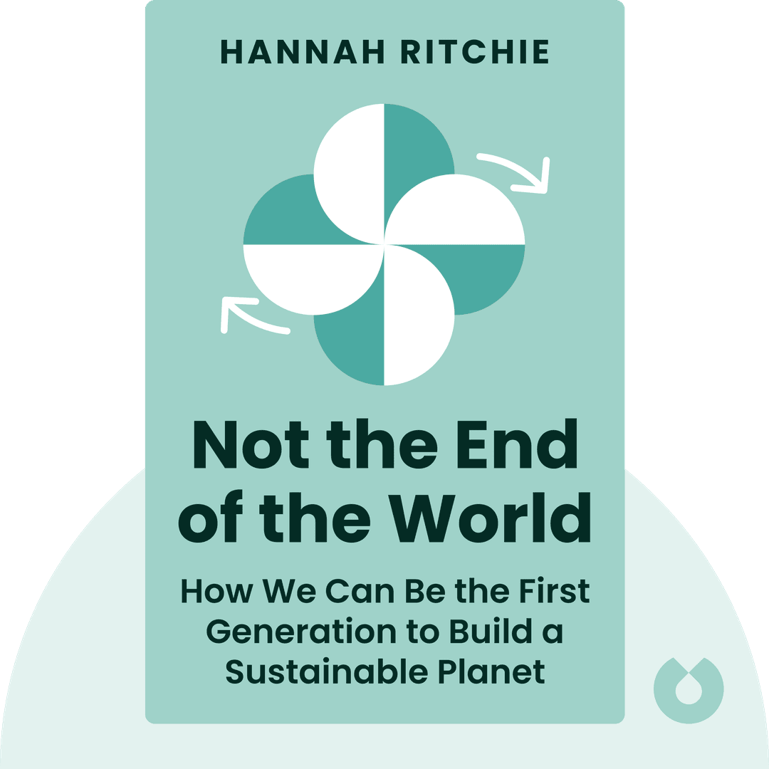 Not the End of the World cover