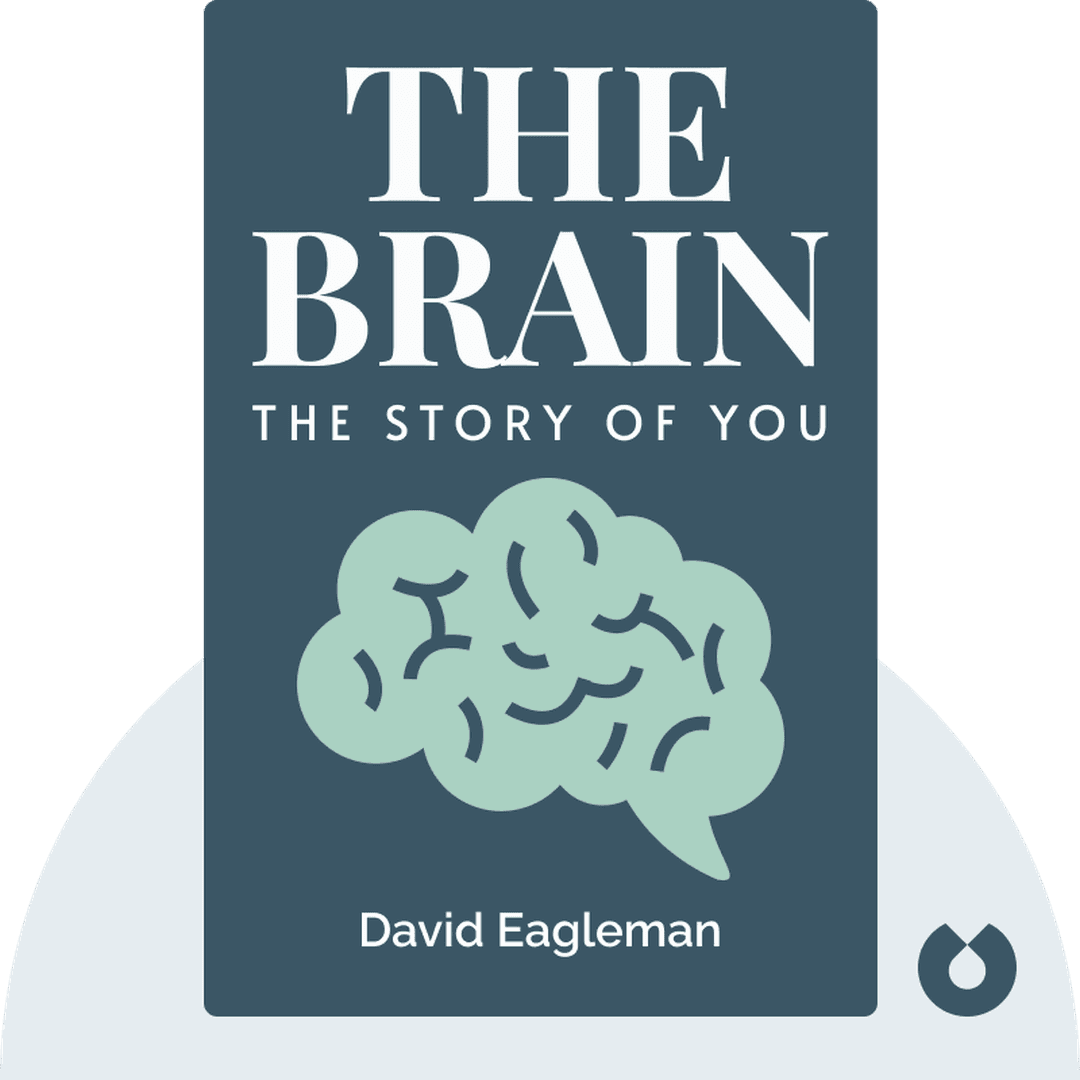 The Brain cover