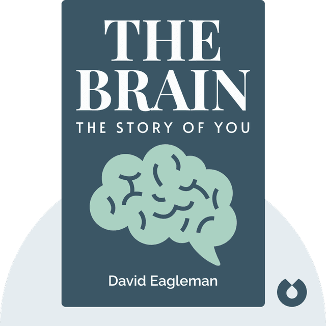 The Brain audiobook cover - The Story of You
