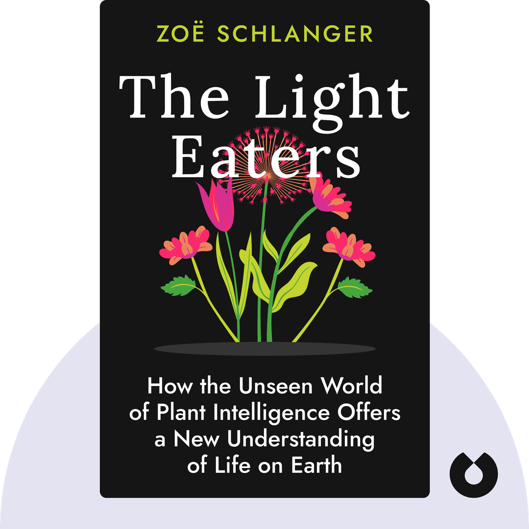 The Light Eaters cover
