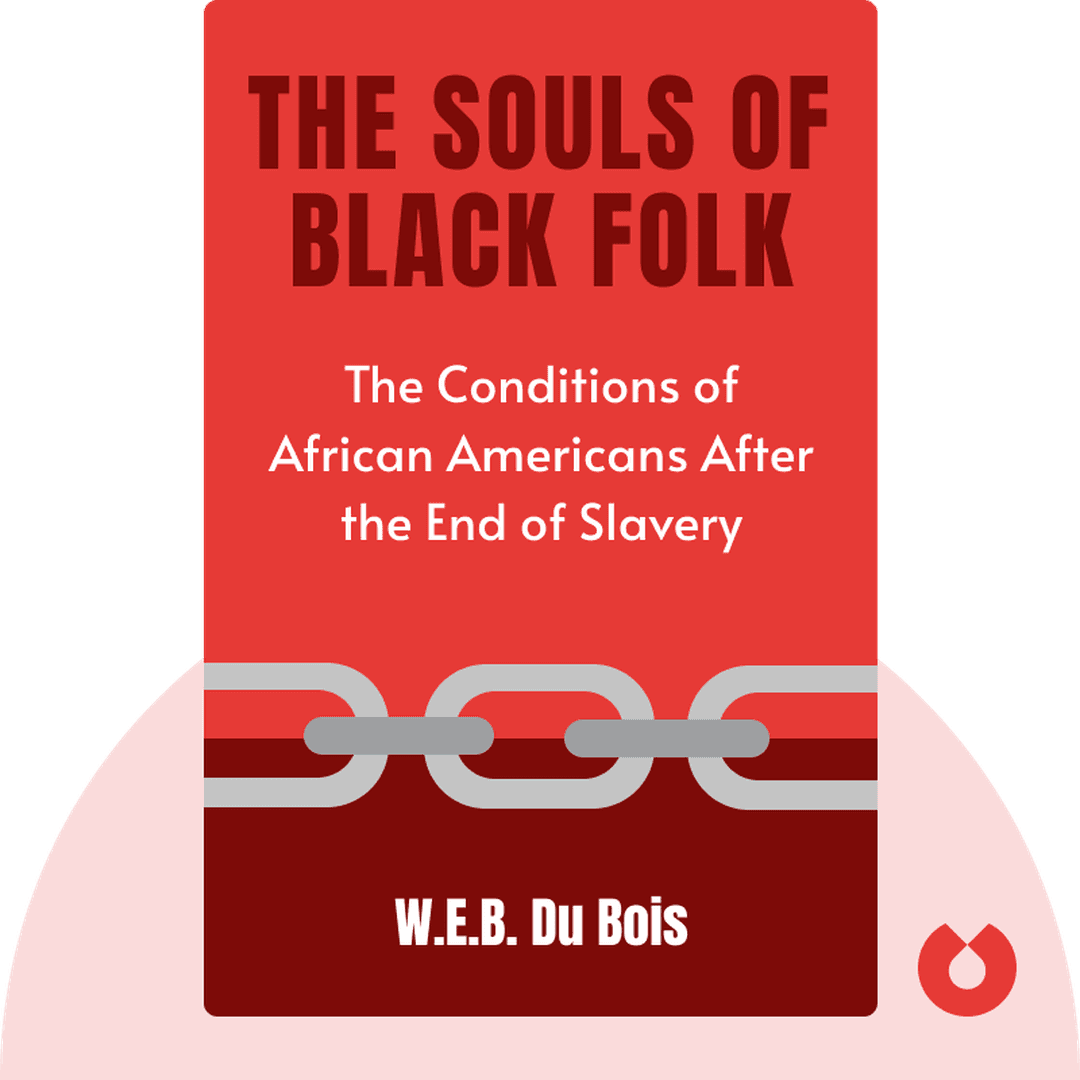 The Souls of Black Folk cover