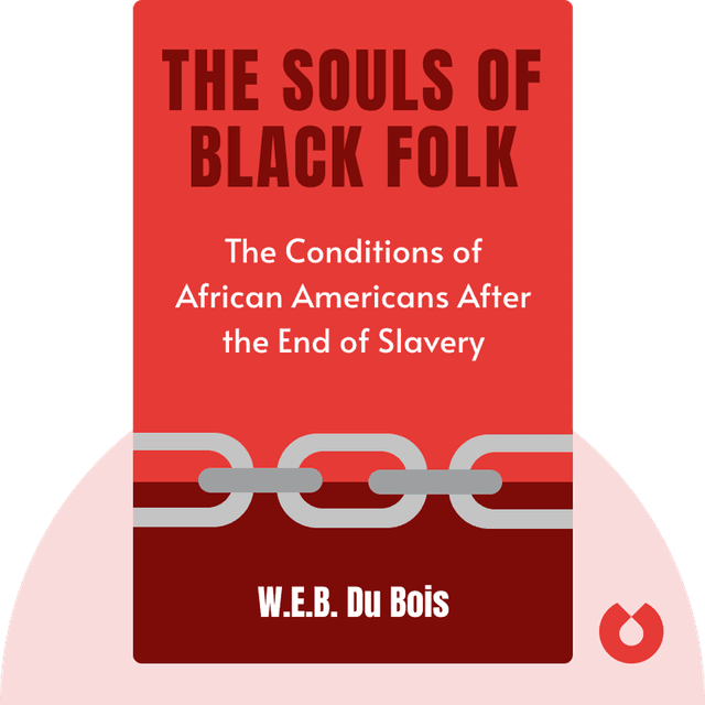 The Souls of Black Folk audiobook cover - An account of the conditions of African Americans after the end of slavery
