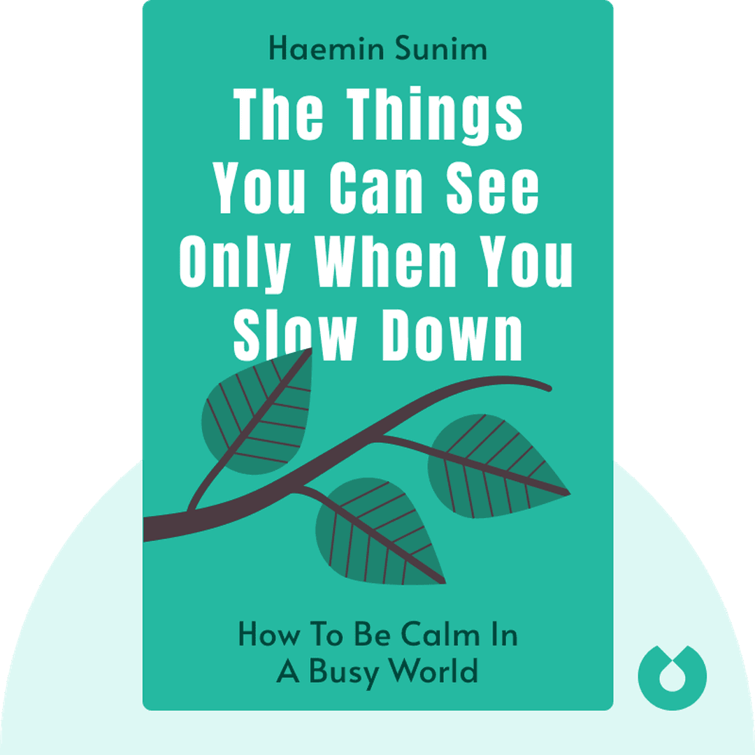 The Things You Can See Only When You Slow Down cover