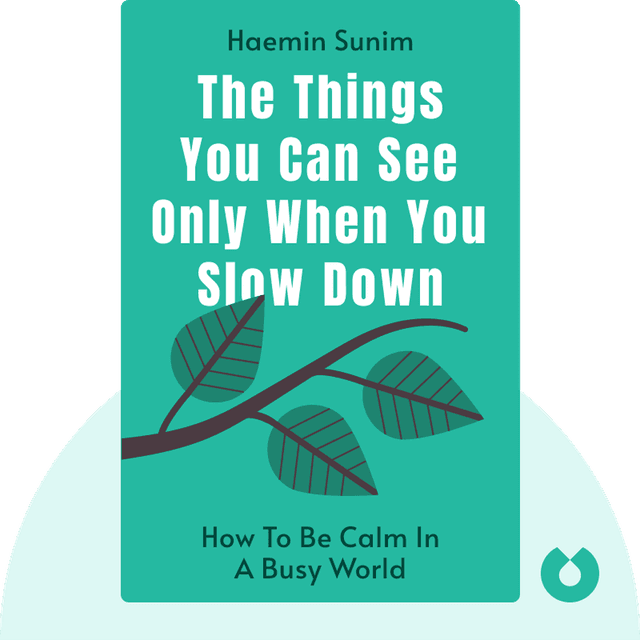 The Things You Can See Only When You Slow Down audiobook cover - How to Be Calm in a Busy World