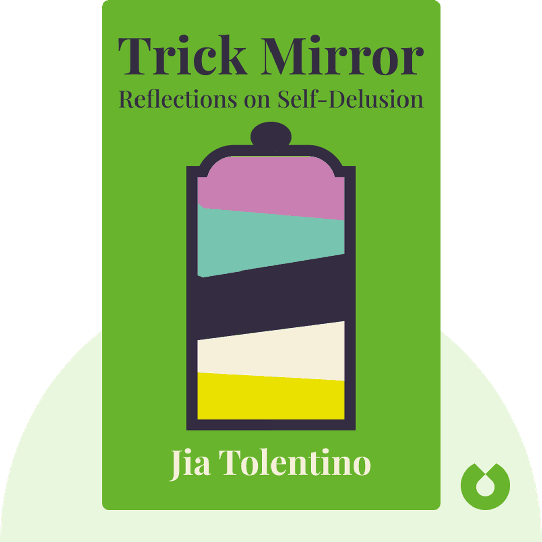 Trick Mirror cover