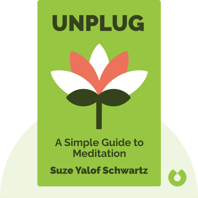 Unplug audiobook cover - A Simple Guide to Meditation