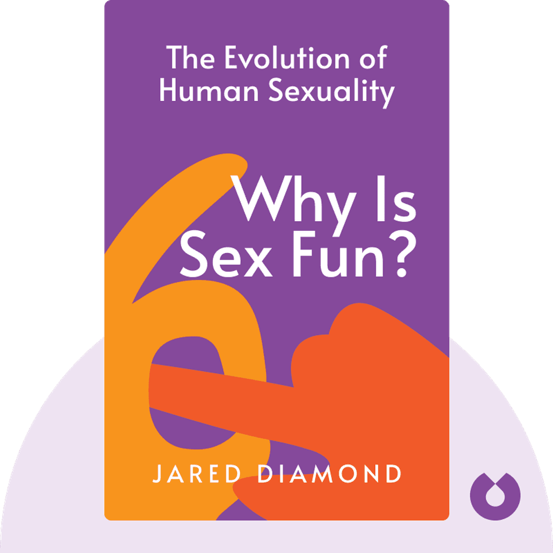 Why is Sex Fun? cover